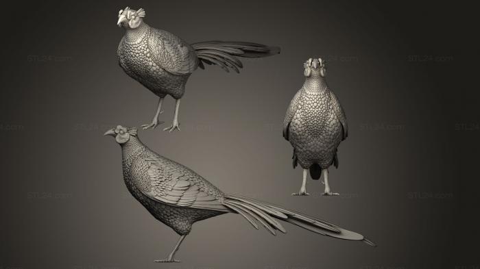 Bird figurines (pheasant, STKB_0063) 3D models for cnc